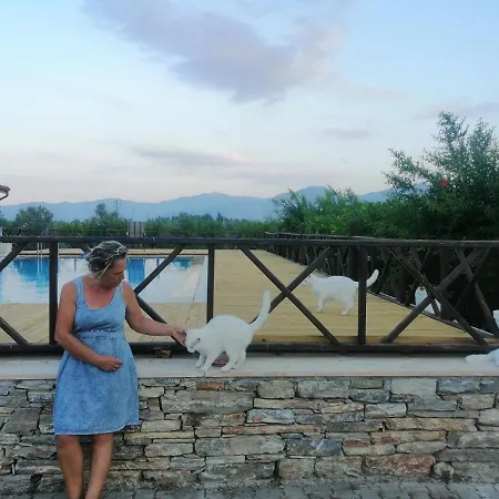 Dila Villa
